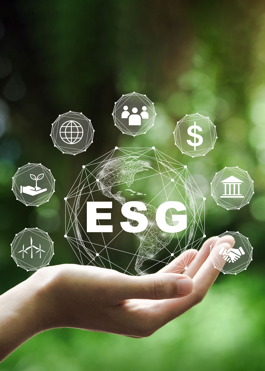 Mãos segurando um globo terrestre entre folhas verdes, representando cuidado ambiental